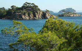 Location Corsica